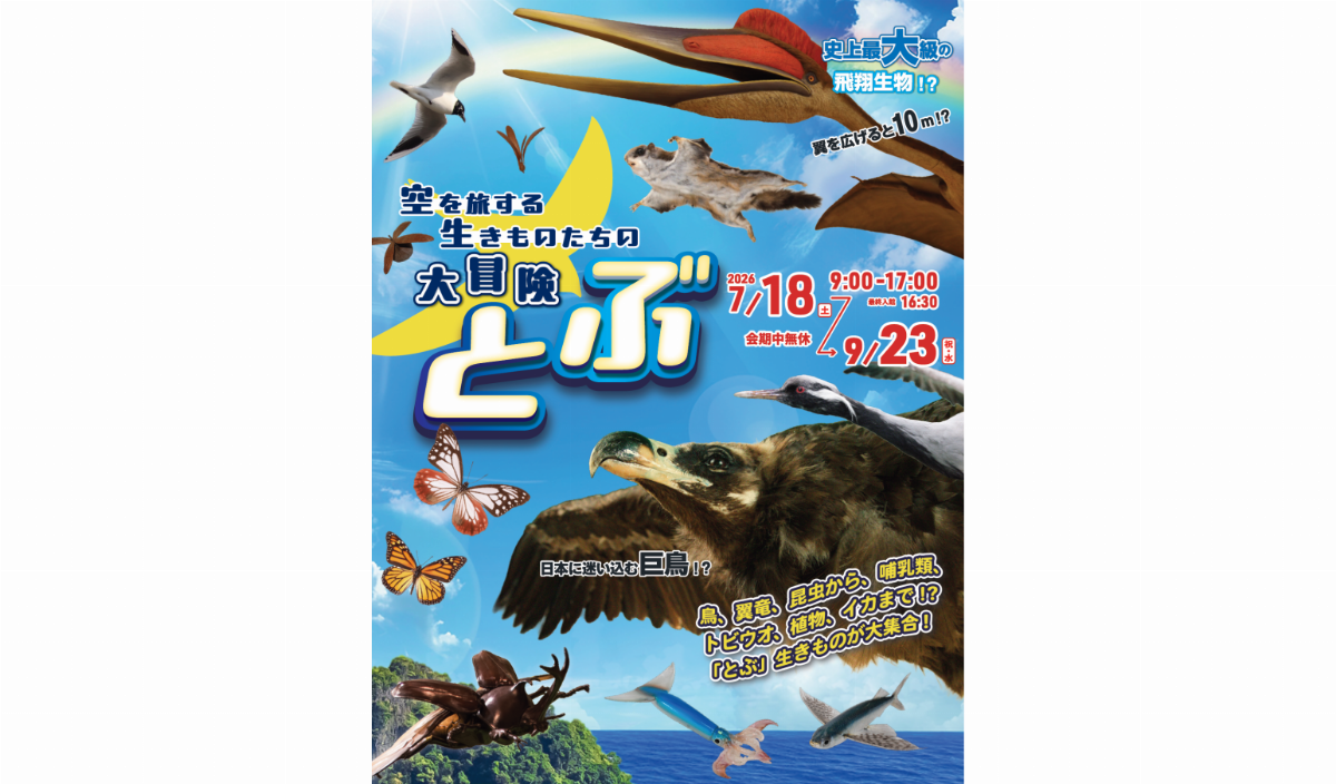 【いのちのたび博物館】夏の特別展「とぶ 空を旅する生きものたちの大冒険」