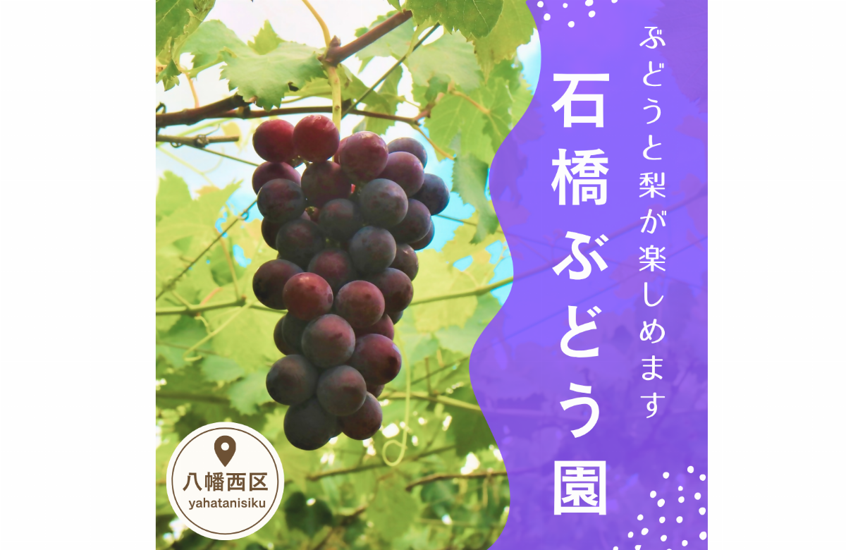 石橋ぶどう園
